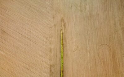 How to Repair Swollen Laminate Flooring Without Replacing: Step-by-Step Guide