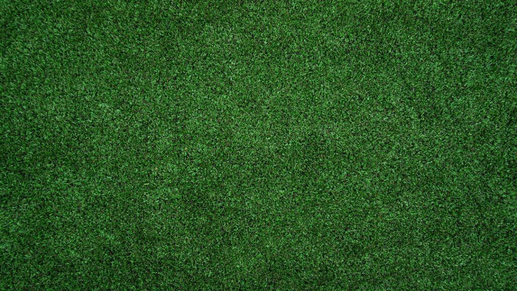 Indoor Outdoor Grass Carpet: Green Cover That Goes Anywhere