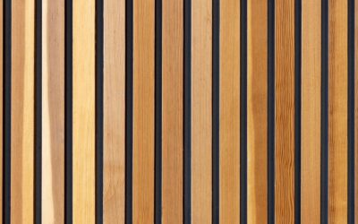 Interior Wood Slat Wall Ideas: Design Inspiration for Your Home