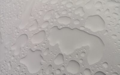 Is Mold Under Vinyl Flooring Dangerous? What to Do
