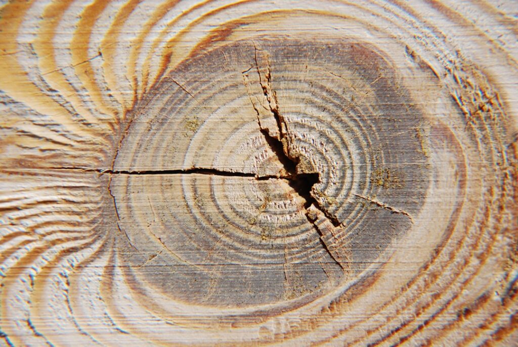 JB Weld Wood Epoxy: The Complete Repair Guide for Homeowners