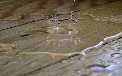 Laminate Flooring Water Damage: Pictures and How to Spot It