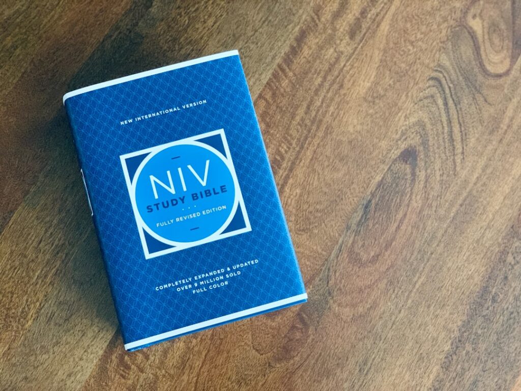 LVP Transition: Complete Guide for Homeowners