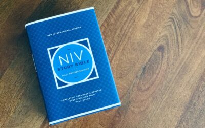 LVP Transition: Complete Guide for Homeowners