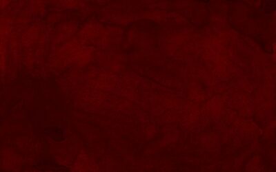 Maroon Tile: Making Deep Red Work in a Modern Home