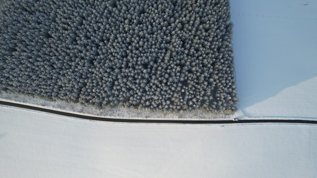 Metal Carpet Transition Strip: Complete Guide for Homeowners