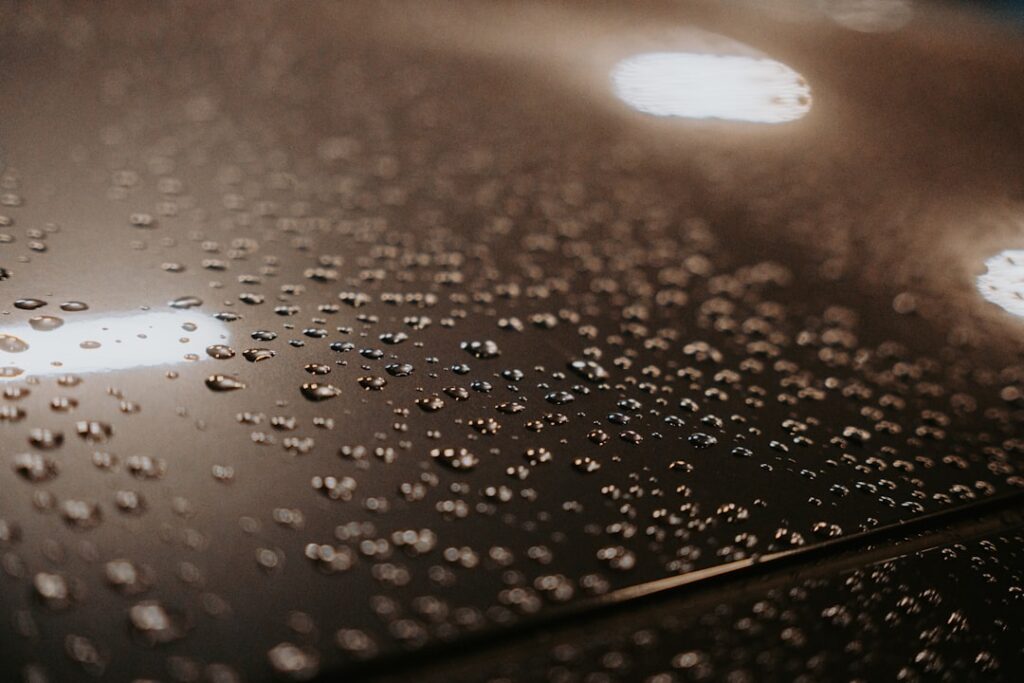 Moisture Barrier for Vinyl Flooring: Pros, Cons, and Buying Guide