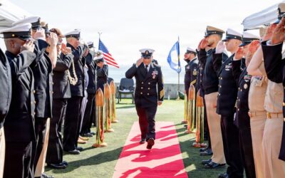 Navy Carpet: Complete Guide for Homeowners