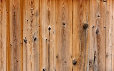 Paint Colors That Go With Pine Wood Trim: Complete Guide for Homeowners