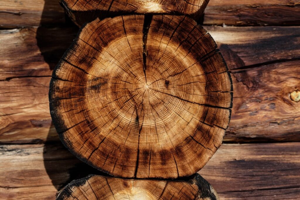 PC-Woody Wood Epoxy: How to Use and Results