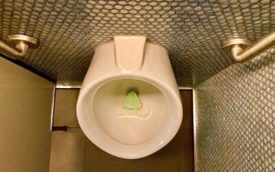 Penny Tile Shower Floor: Pros, Cons, and Buying Guide