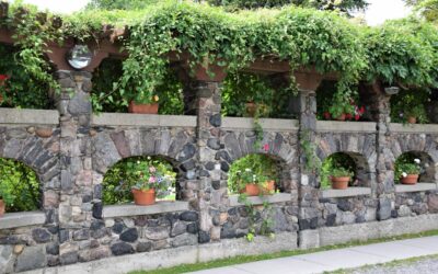 Pergola With Privacy Wall: A Practical Design Guide