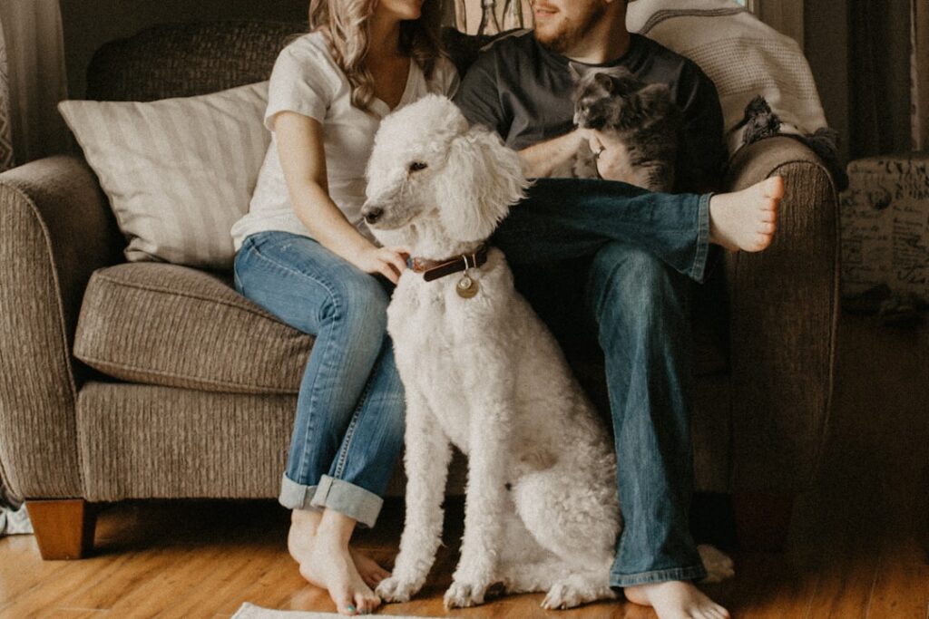 Pet Friendly Laminate Flooring: Pros, Cons, and Buying Guide