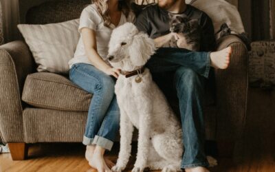 Pet Friendly Laminate Flooring: Pros, Cons, and Buying Guide