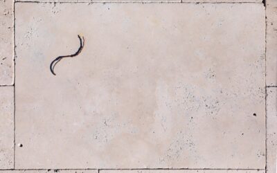 Porcelain Tile That Looks Like Travertine: The Best of Both Worlds