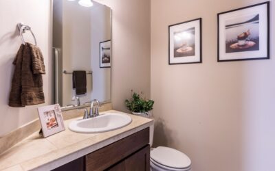 Powder Room Rug: Complete Guide for Homeowners