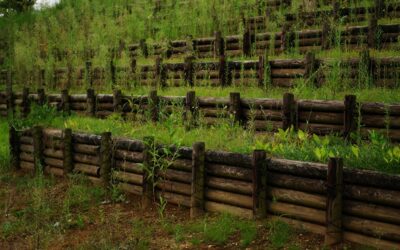 Pressure Treated Wood Retaining Wall: Complete Guide for Homeowners