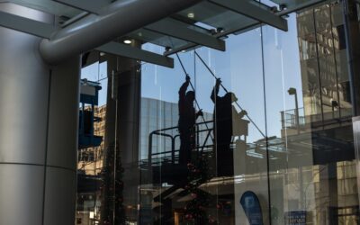 Professional Window Cleaning Solution: Complete Guide for Homeowners