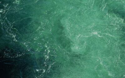Seafoam Green Tile: Design Inspiration for Your Home