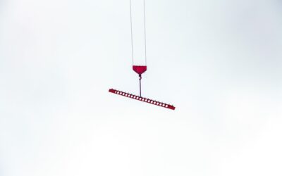 Shag Carpet Rake: Complete Guide for Homeowners
