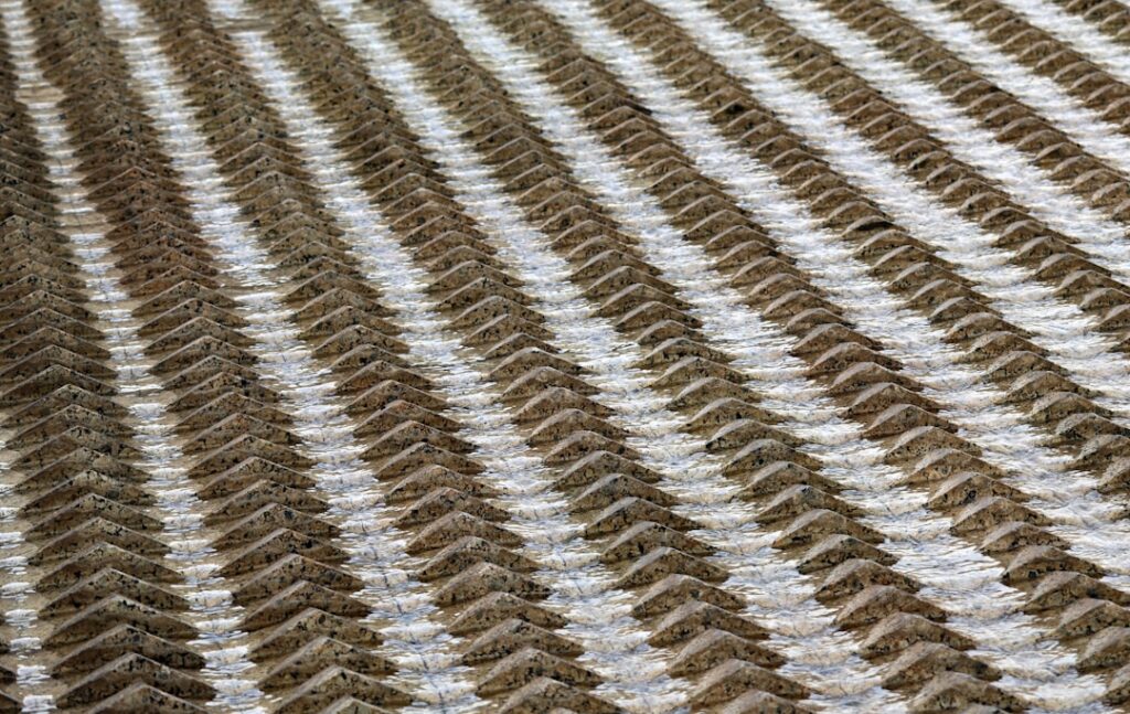Sisal Runner Rug: The Homeowner’s Complete Buying and Care Guide