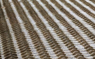 Sisal Runner Rug: The Homeowner’s Complete Buying and Care Guide