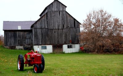 State Farm Roof Replacement Requirements Explained