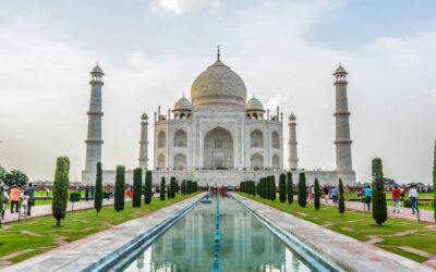 Taj Mahal Porcelain Tile: Look, Cost, and Buying Guide
