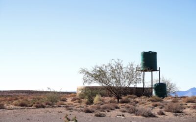 Toilet Has No Water in the Tank: Causes and How to Fix Them