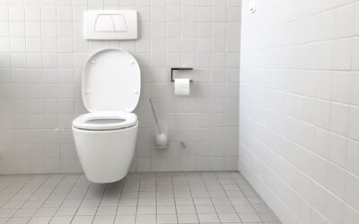 Toilet Making Noise When Refilling: Causes and Fixes