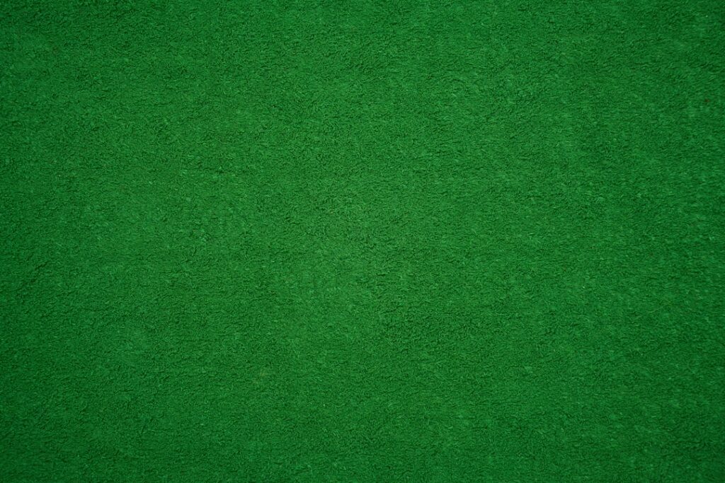 Indoor Turf Carpet: Complete Guide for Homeowners