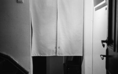 Walk in Shower with Curtain Instead of Door: Complete Guide for Homeowners
