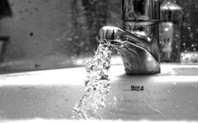 Waterfall Faucet: How They Work and Top Picks