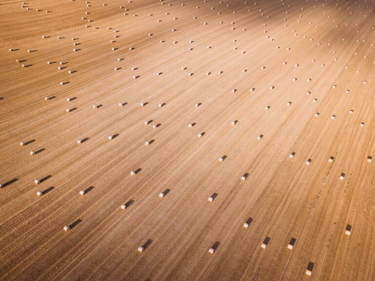 What Kind of Plywood for Subfloor: Complete Guide for Homeowners - D ...