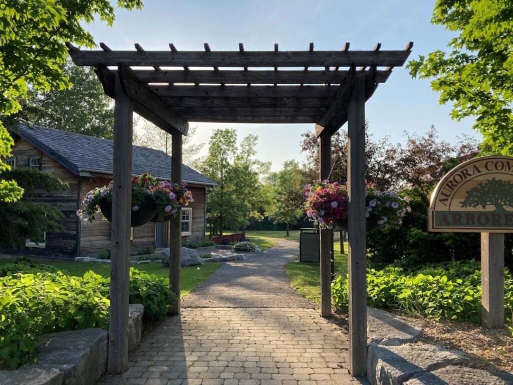 Where to Put a Pergola in Your Yard: A Placement Guide