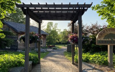 Where to Put a Pergola in Your Yard: A Placement Guide