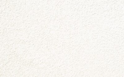Wool Carpet Wall to Wall: Complete Guide for Homeowners