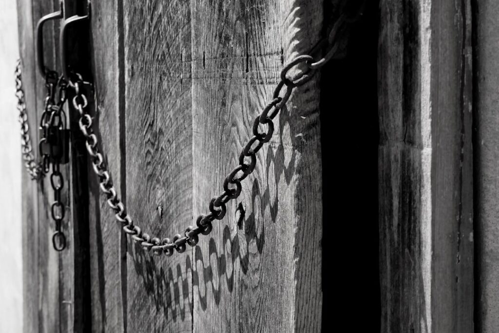 Barn Door Designs: Styles and Ideas for Every Room