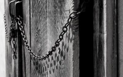 Barn Door Designs: Styles and Ideas for Every Room