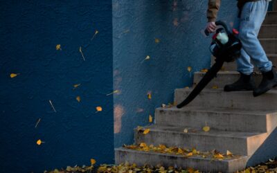 Battery Operated Leaf Blower: Complete Guide