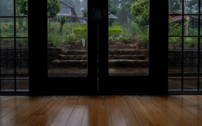 Black French Doors: Complete Guide for Homeowners
