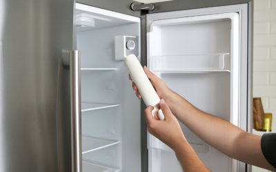 Bosch Refrigerator Water Filter Guide