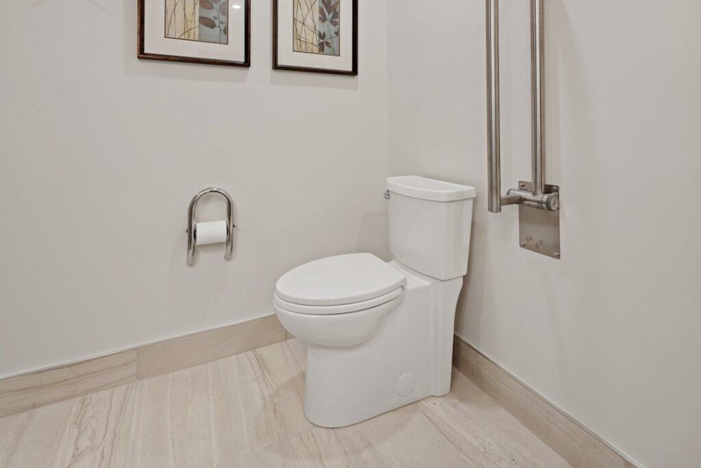Brondell Bidet Toilet Seat