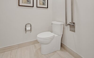 Brondell Bidet Toilet Seat