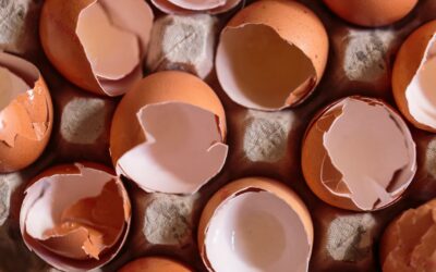 Can Egg Shells Go Down the Garbage Disposal? Myth vs. Reality