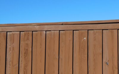 Cedar Wood Fence: A Complete Guide for Homeowners