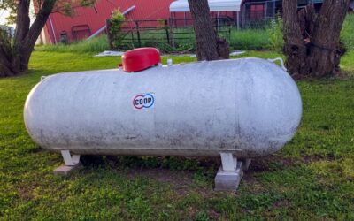 Cesspool vs Septic Tank: Key Differences