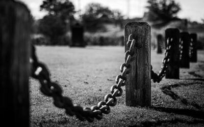 Chain Link Fence Post: The Foundation of a Solid Fence