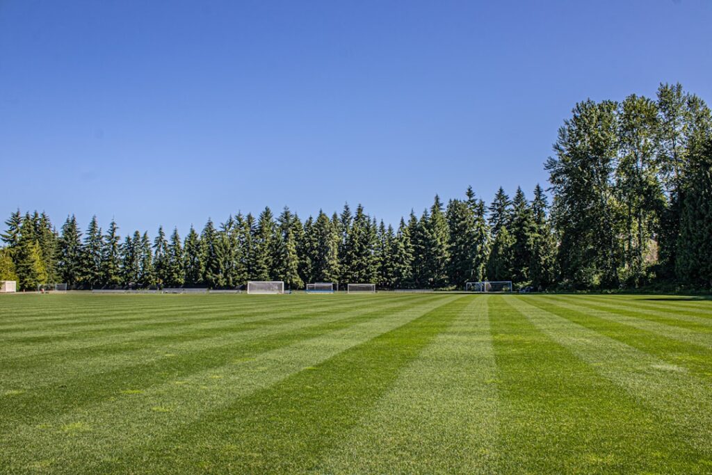 Commercial Robotic Lawn Mower