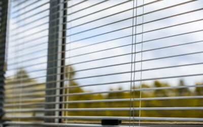 Commercial Window Blinds